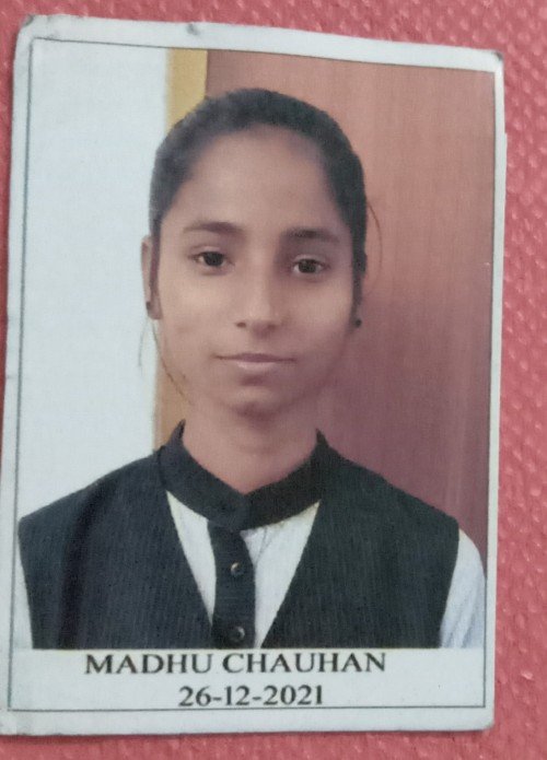 Best All Academic Subjects tutor in Varanasi